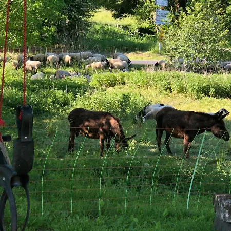 Côté Puy De Dôme *